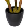 Vickerman 30" Artificial Real Touch Dracaena - view 6 of 6