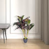 Vickerman 30" Artificial Real Touch Dracaena - view 2 of 6