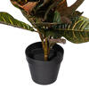 30" Fresh Touch croton in pot - view 5 of 5