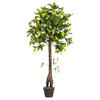 Vickerman Artificial Potted Camellia Tree - view 1 of 7