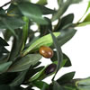 Vickerman Artificial Olive Tree - view 3 of 5
