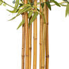 Vickerman 6' Artificial Potted Green Bamboo Tree - view 5 of 6
