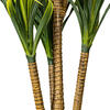 40" Plastic Green Yucca w/Pot - view 5 of 6
