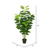 64" Fresh Philodendron w/Pot-Green - view 3 of 3
