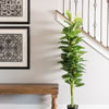 64" Fresh Philodendron w/Pot-Green - view 2 of 3