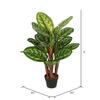 36" Calathea Peacock Plant w/Pot - view 4 of 4