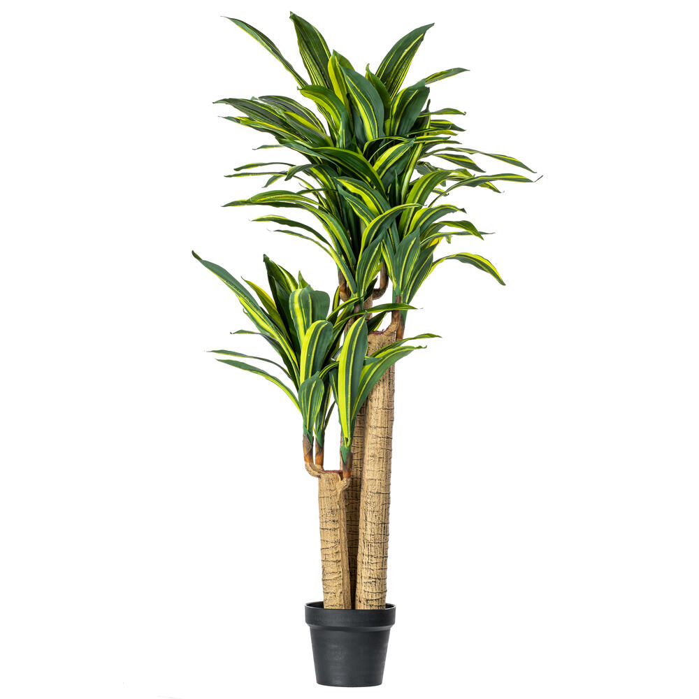 52" FT Dracaena Tree in Black Pot