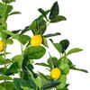 Vickerman Artificial Real Touch Fruit Tree - view 3 of 6