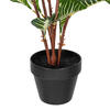 35" Green Zebra in Pot 125 Lvs FT - view 5 of 5