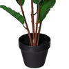 34" Green Myrtle in Pot 125 Lvs FT - view 4 of 5
