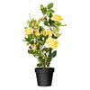 Vickerman 21" Artificial Rose Plant in Pot - view 1 of 5