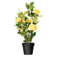 21" Potted Roses