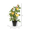 Vickerman 21" Artificial Rose Plant in Pot - view 4 of 5