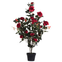 45" Potted Roses