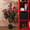 Vickerman 45" Artificial Rose Plant in Pot - view 2 of 4