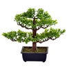 Vickerman Artificial Potted Murraya Bonsai Tree - view 1 of 3