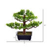 Vickerman Artificial Potted Murraya Bonsai Tree - view 3 of 3