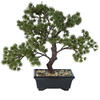 Vickerman Artificial Potted Pine Bonsai Tree - view 1 of 8