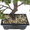 Vickerman Artificial Potted Pine Bonsai Tree - view 4 of 8