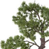 Vickerman Artificial Potted Pine Bonsai Tree - view 3 of 8