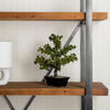 Vickerman Artificial Potted Pine Bonsai Tree - view 2 of 8