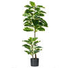 Vickerman Artificial Potted Real Touch Dieffenbachia - view 1 of 6