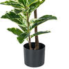 Vickerman Artificial Potted Real Touch Dieffenbachia - view 5 of 6