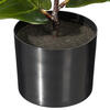 Vickerman Green Fiddle Leaf Plant, Black Pot.  - view 3 of 3