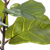 Vickerman Green Fiddle Leaf Plant, Black Pot.  - view 2 of 3