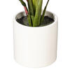 19" Rattlesnake Calathea in White Pot - view 3 of 3