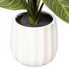 13" Philodendron Birkin in White Pot - view 3 of 3