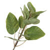 Vickerman Artificial Green Potted Cotinus Coggygria Tree - view 3 of 8