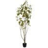 Vickerman Artificial Green Potted Cotinus Coggygria Tree - view 1 of 8