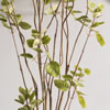 Vickerman Artificial Green Potted Cotinus Coggygria Tree - view 6 of 8