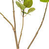 Vickerman Artificial 4' Cotinus Coggygria Branch - view 3 of 4