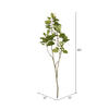 Vickerman Artificial 4' Cotinus Coggygria Branch - view 4 of 4