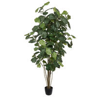 Extra Full Trees