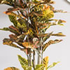 Vickerman Potted Artificial Green and Orange Croton Tree - view 6 of 6