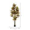 Vickerman Potted Artificial Green and Orange Croton Tree - view 4 of 6