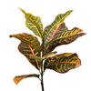 Vickerman Potted Artificial Green and Orange Croton Tree - view 3 of 6