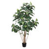 Vickerman Potted Artificial Green Rubber Tree - view 1 of 7
