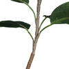 Vickerman Potted Artificial Green Rubber Tree - view 7 of 7