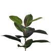 Vickerman Potted Artificial Green Rubber Tree - view 3 of 7