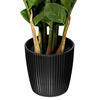 Vickerman Potted Green Zamifolia Bush - view 5 of 6