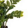 Vickerman Potted Green Zamifolia Bush - view 3 of 6