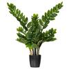 Vickerman Potted Green Zamifolia Bush - view 1 of 6