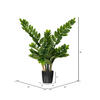 Vickerman Potted Green Zamifolia Bush - view 4 of 6