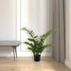 Vickerman Potted Green Zamifolia Bush - view 2 of 6