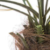 Vickerman Artificial Potted Pheonix Palm Tree - view 5 of 6