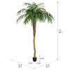 Vickerman Artificial Potted Pheonix Palm Tree - view 4 of 6